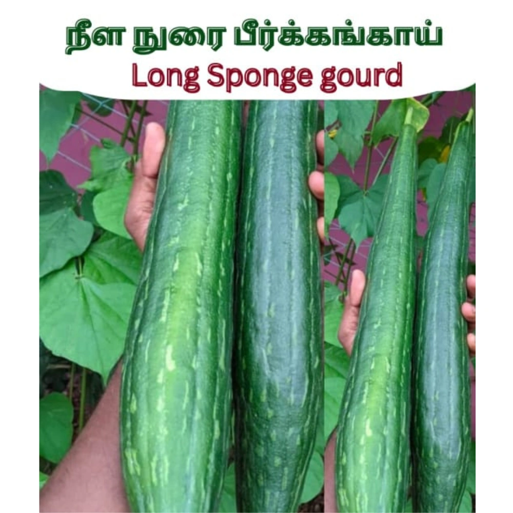 Untitled design (26)