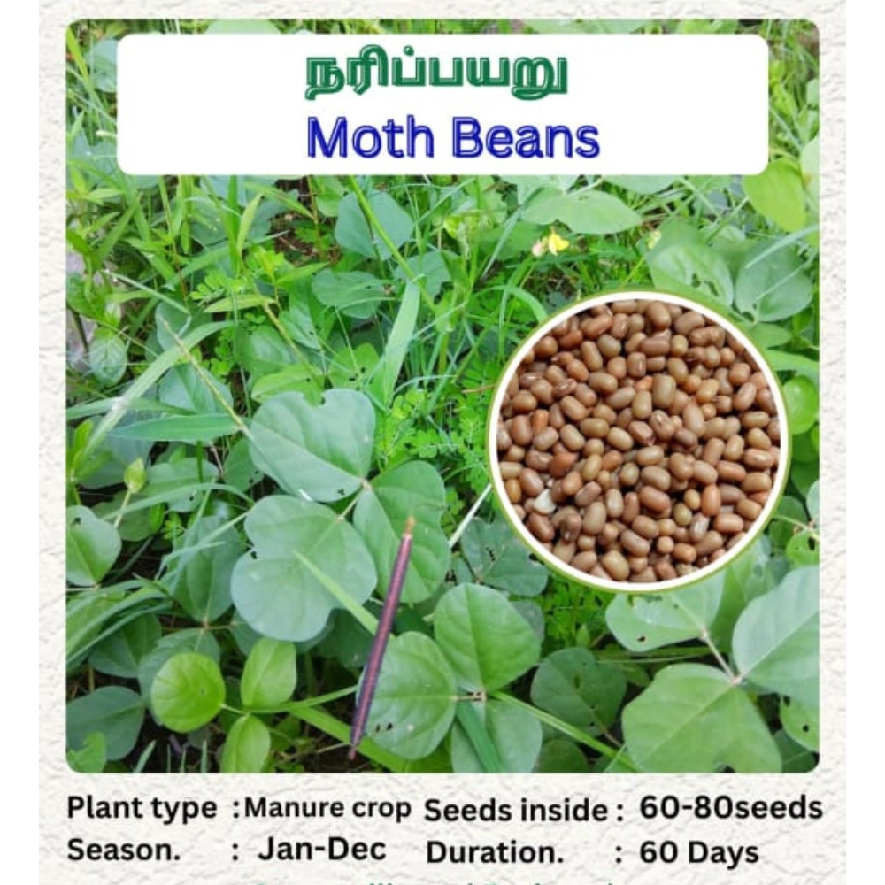 Untitled design (27)