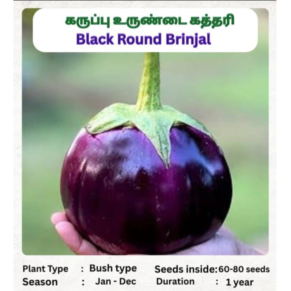 Untitled design (41)