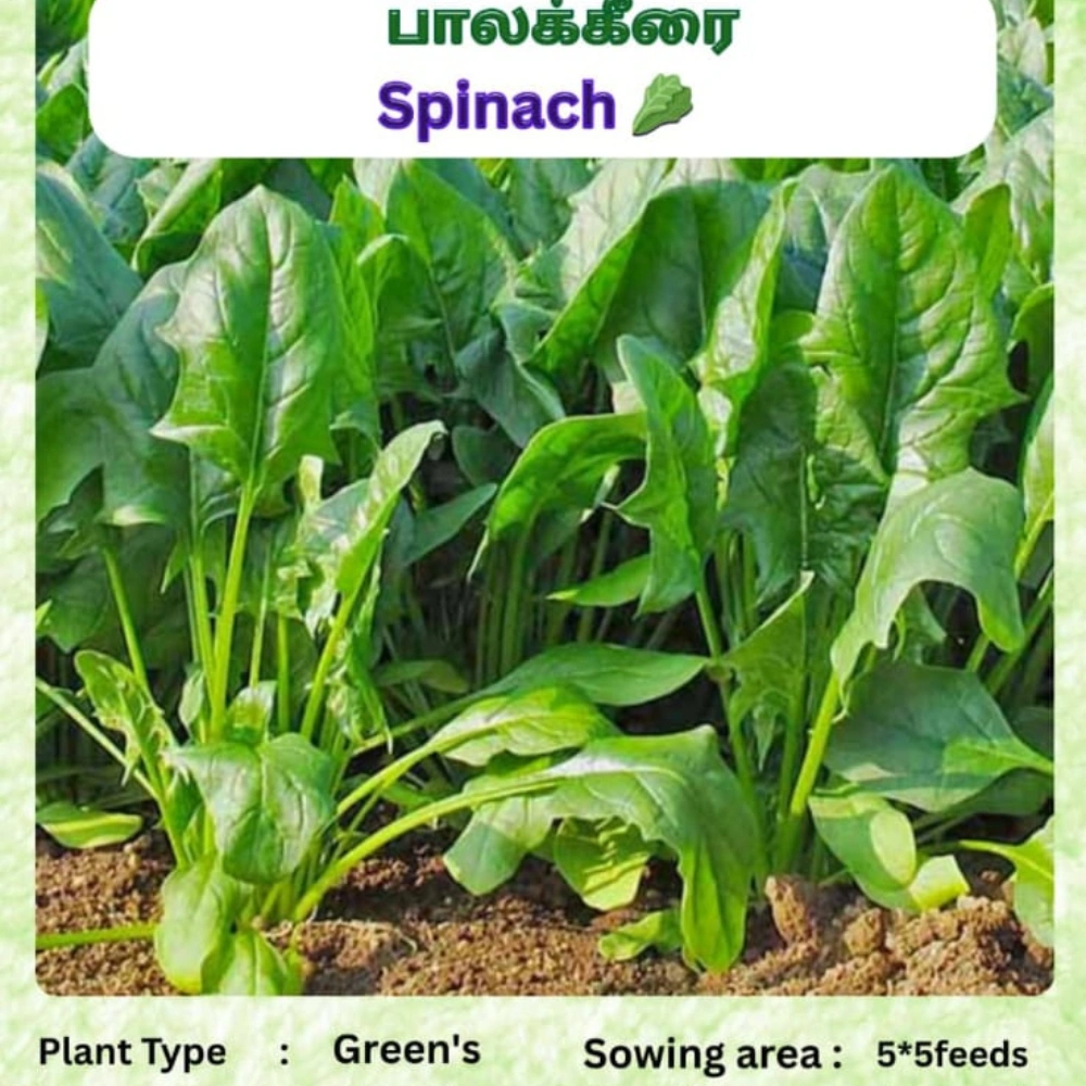 Untitled design (53)